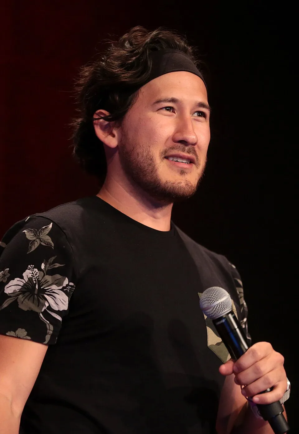 Markiplier portrait.